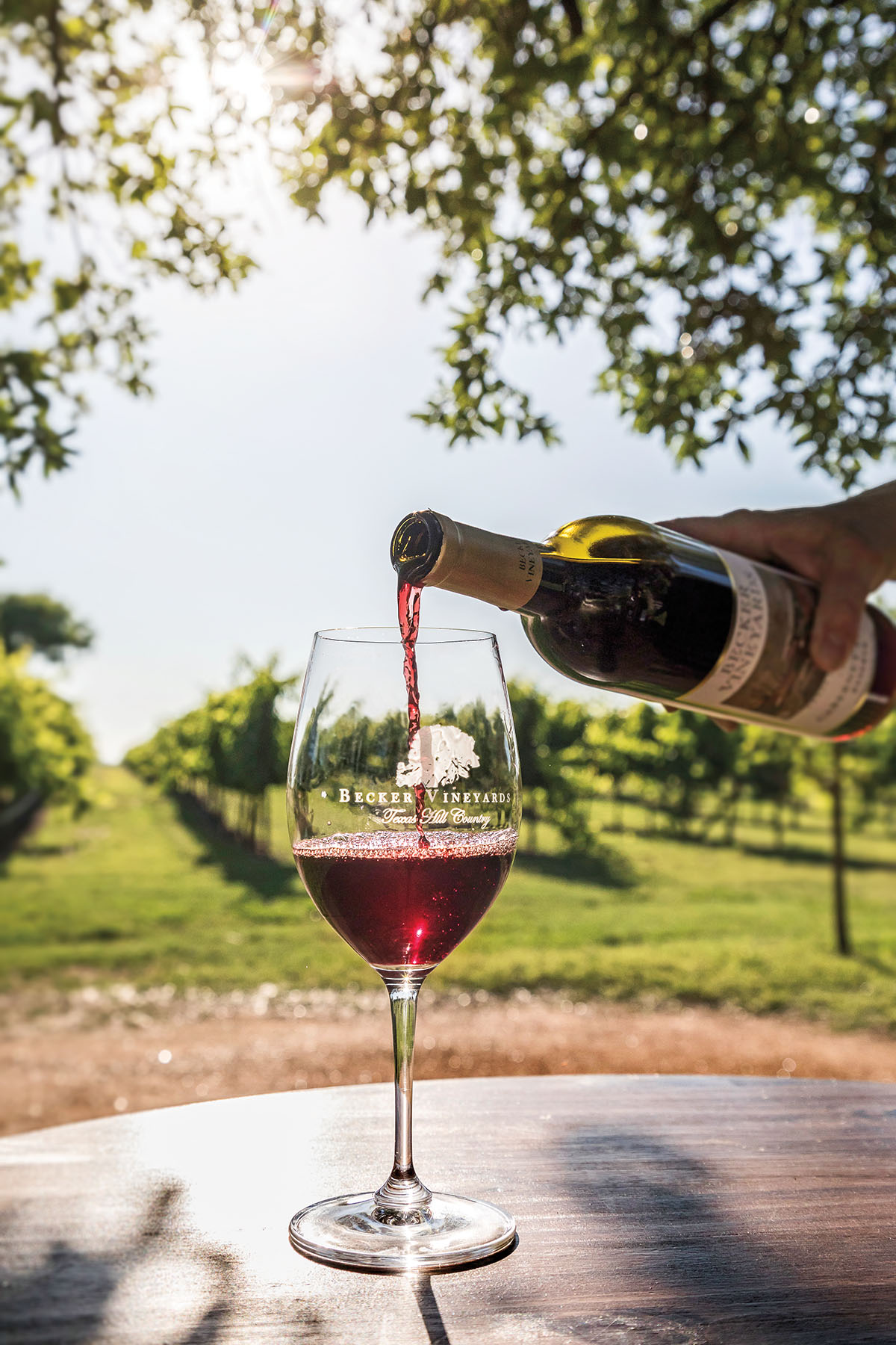 Red wine is poured into a glass at Becker Vinyards near Fredericksburg Texas