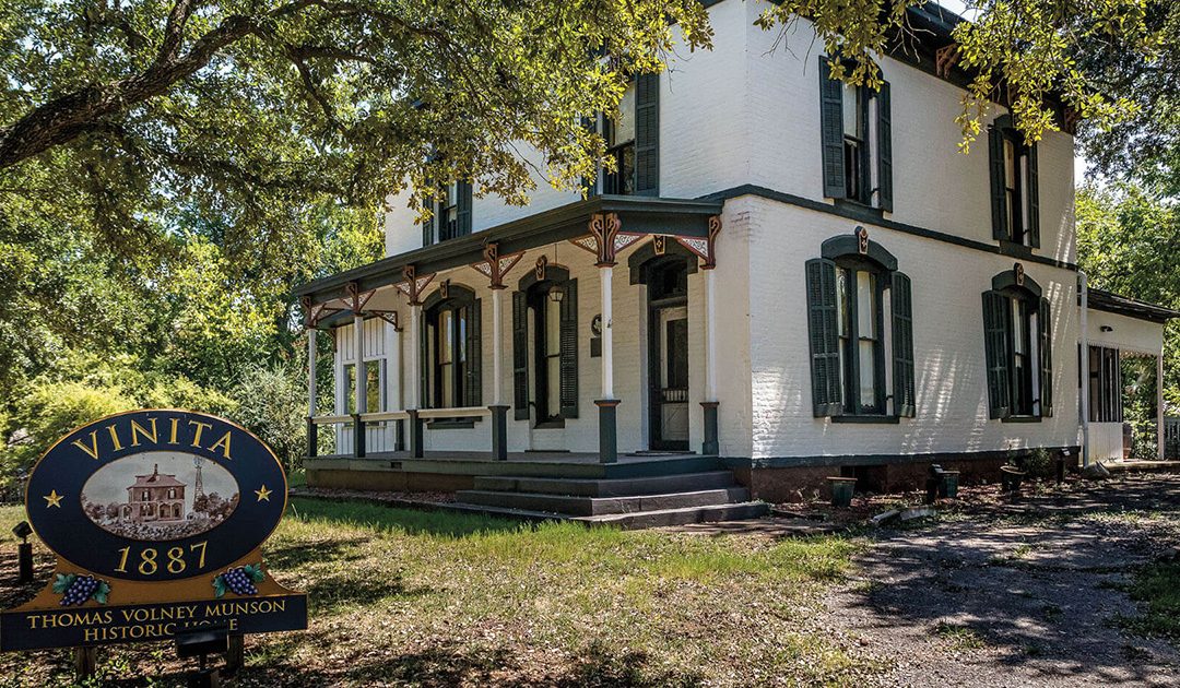 How the ‘Grape Man of Texas’ Saved the French Wine Industry
