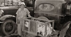 Get Your Chickens! A Vintage Vendor at Weatherford’s First Monday Market
