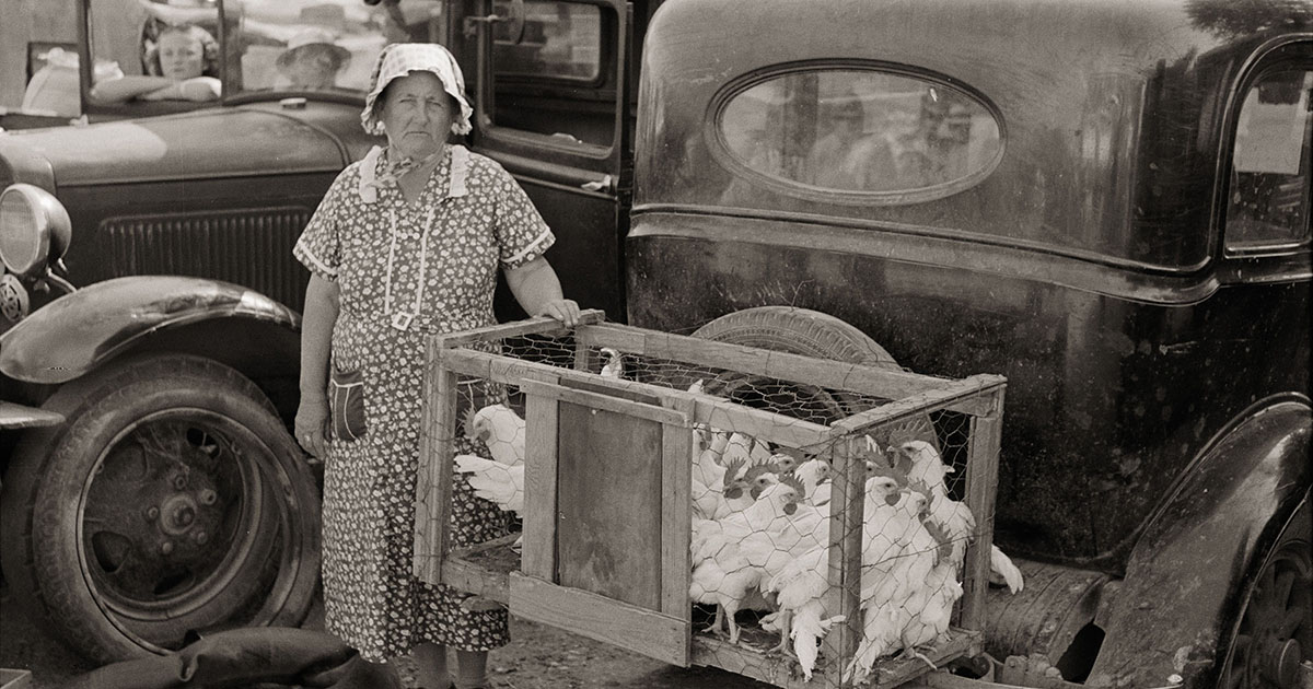 Get Your Chickens! A Vintage Vendor at Weatherford's First Monday