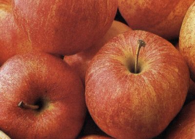 Idalou’s Apple Fest