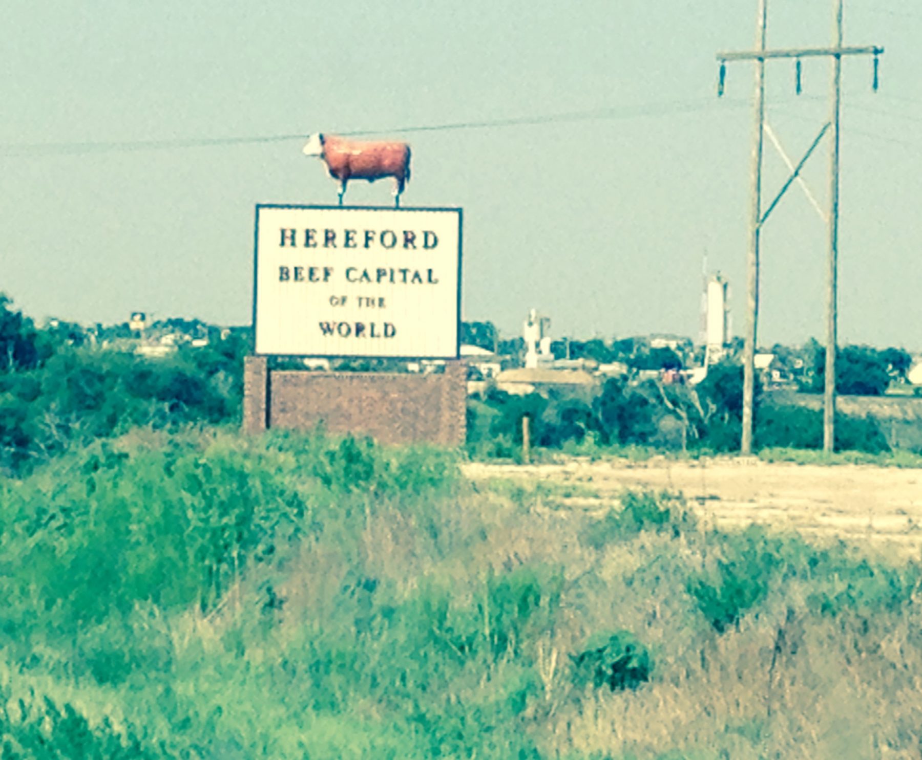 Photo of sign with cow on top