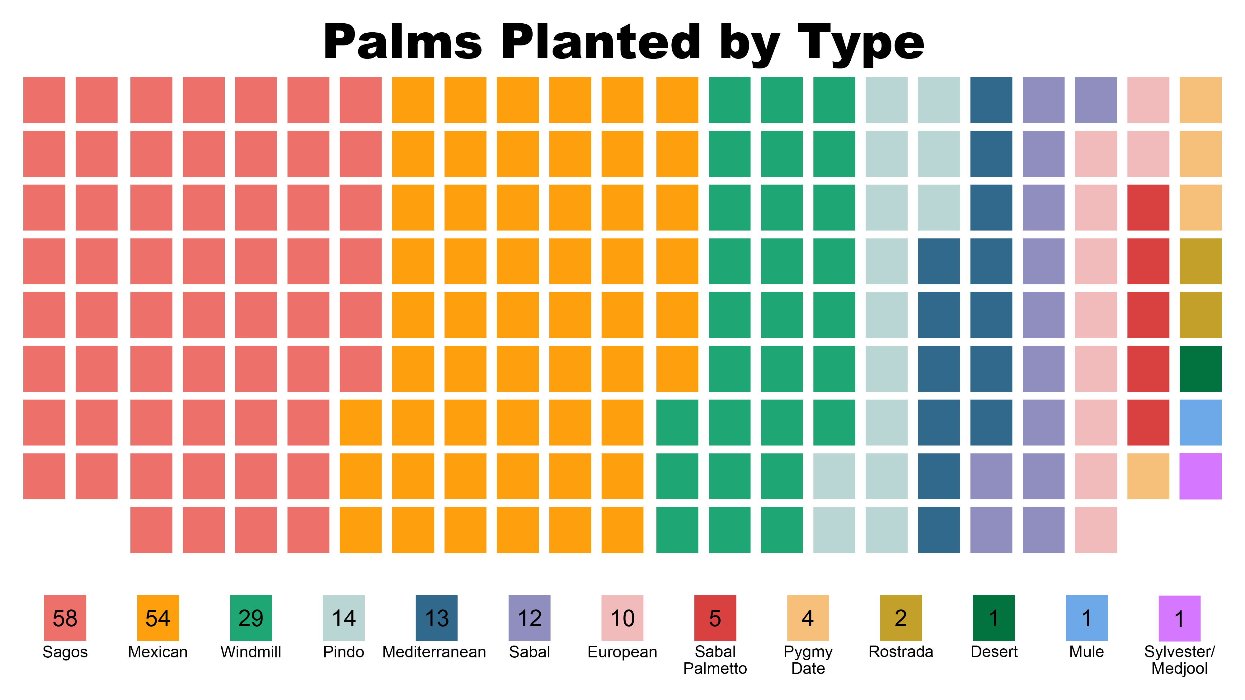 graphic showing the number of each species of palm trees on the property