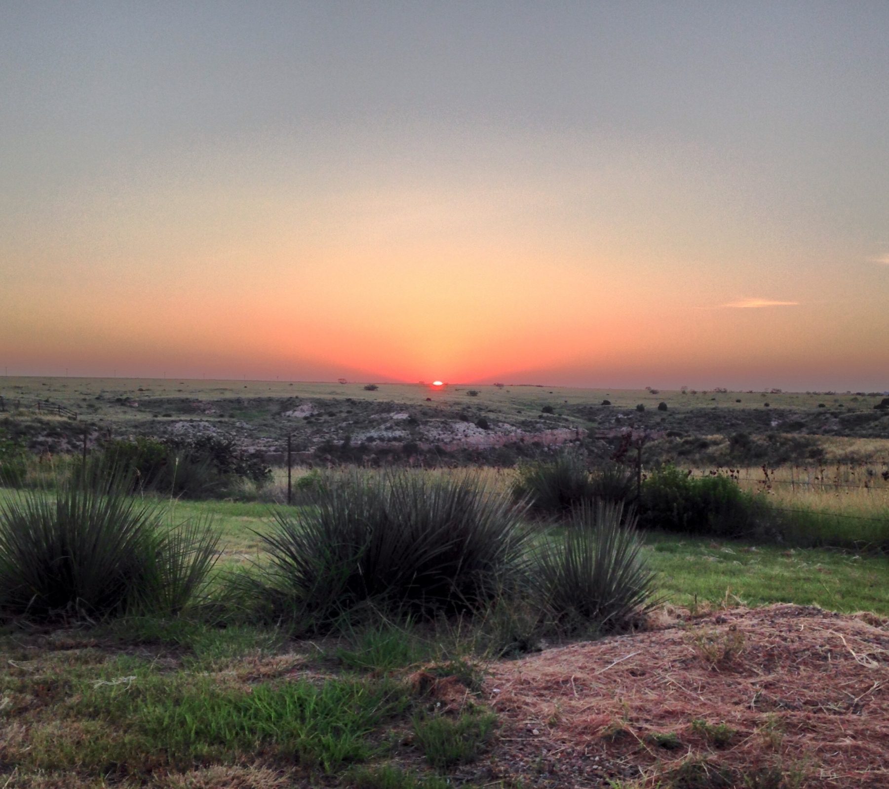Photo of sunset on the plains