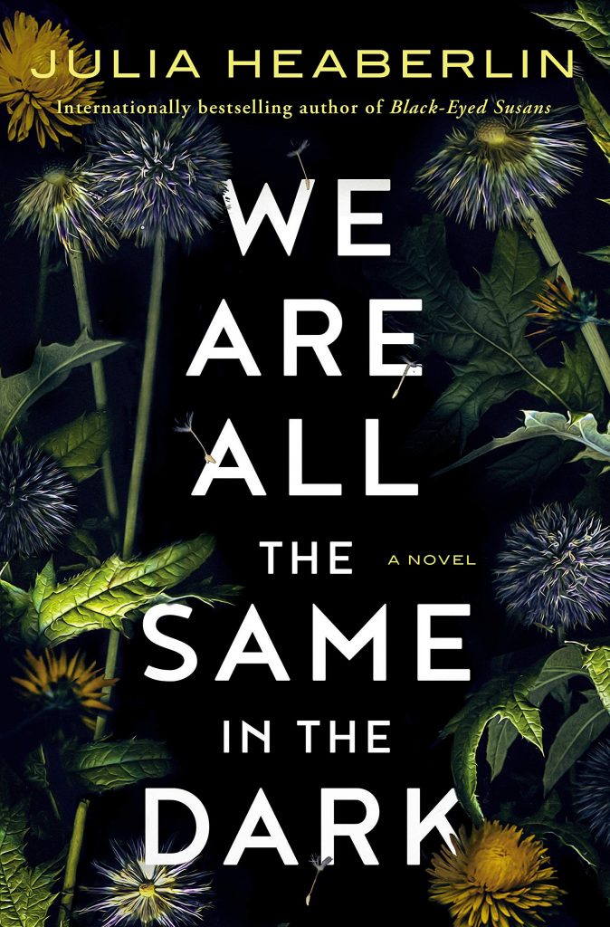 The cover of Julia Heaberlin's We Are All the Same in the Dark