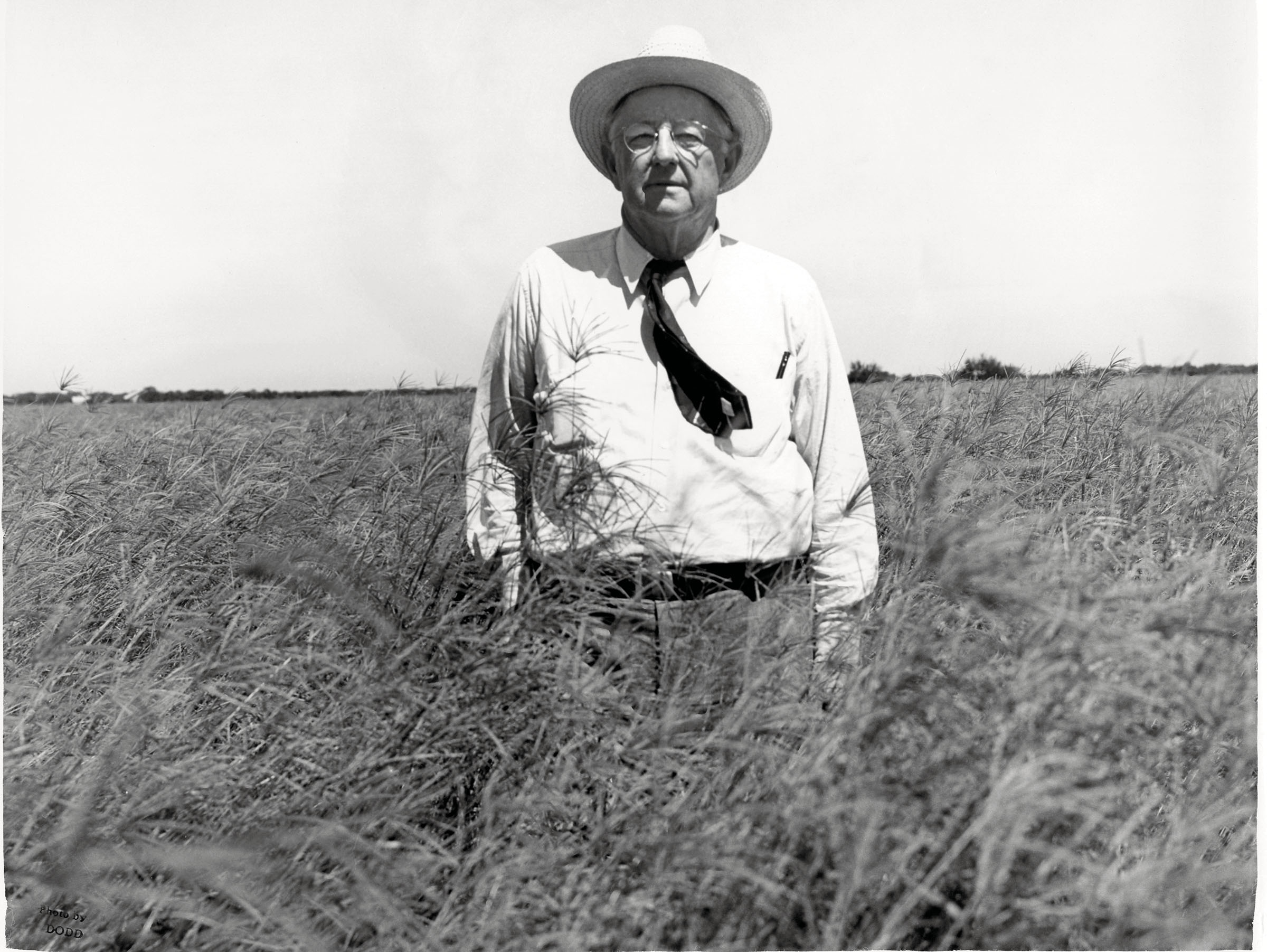 Caesar Kleberg stands in a grass field in a black tie and cowbody hat