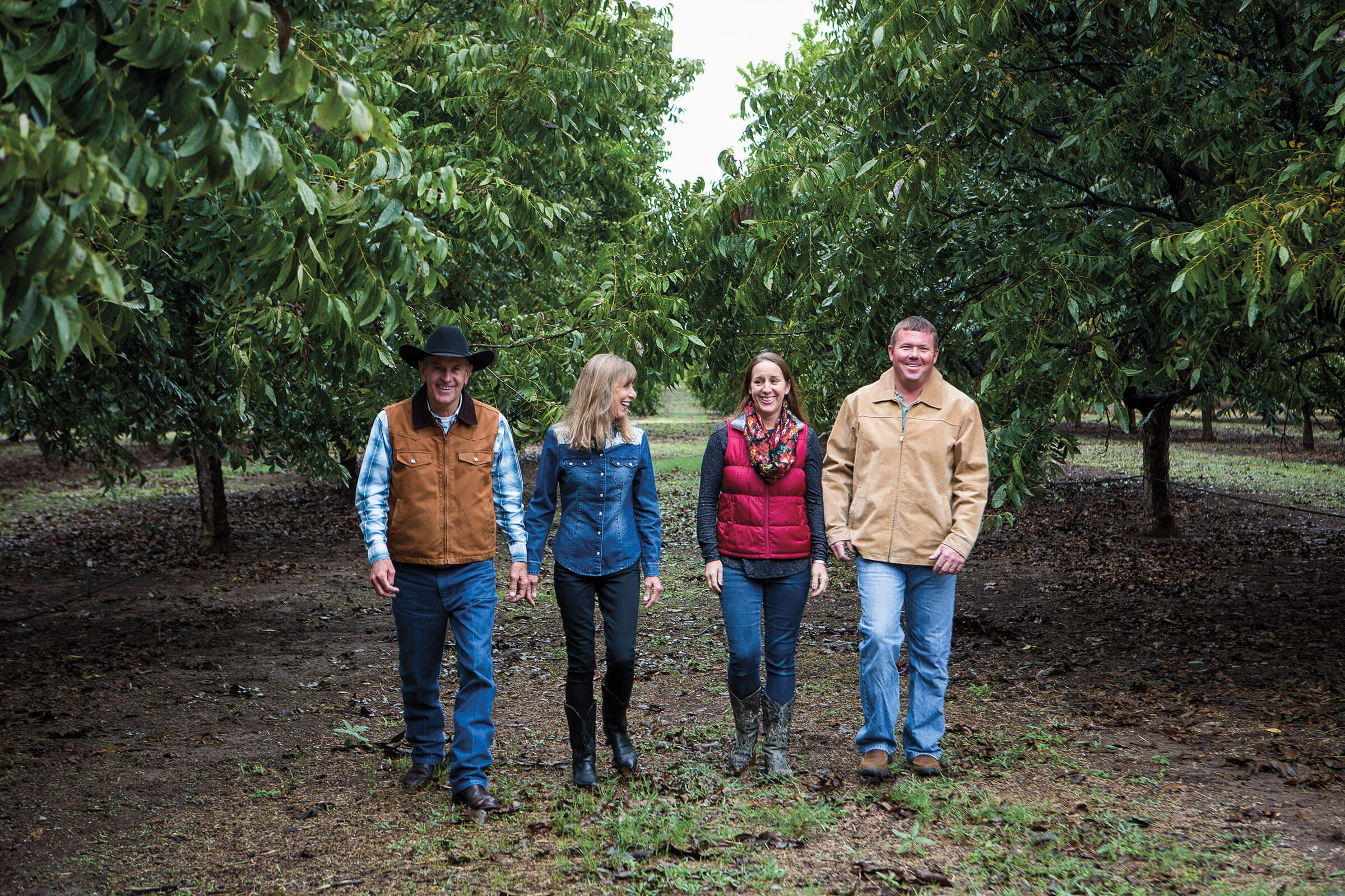 A group of people walk through a pecan grove