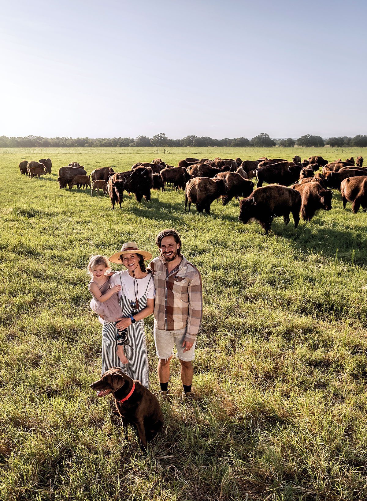 A family stands in a field of bison unerneath a blue sky