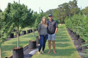 Texas’ First Legal Hemp Farm Offers an Interactive Look at the Plant