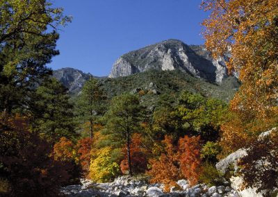 Where to See Fall Foliage in Texas