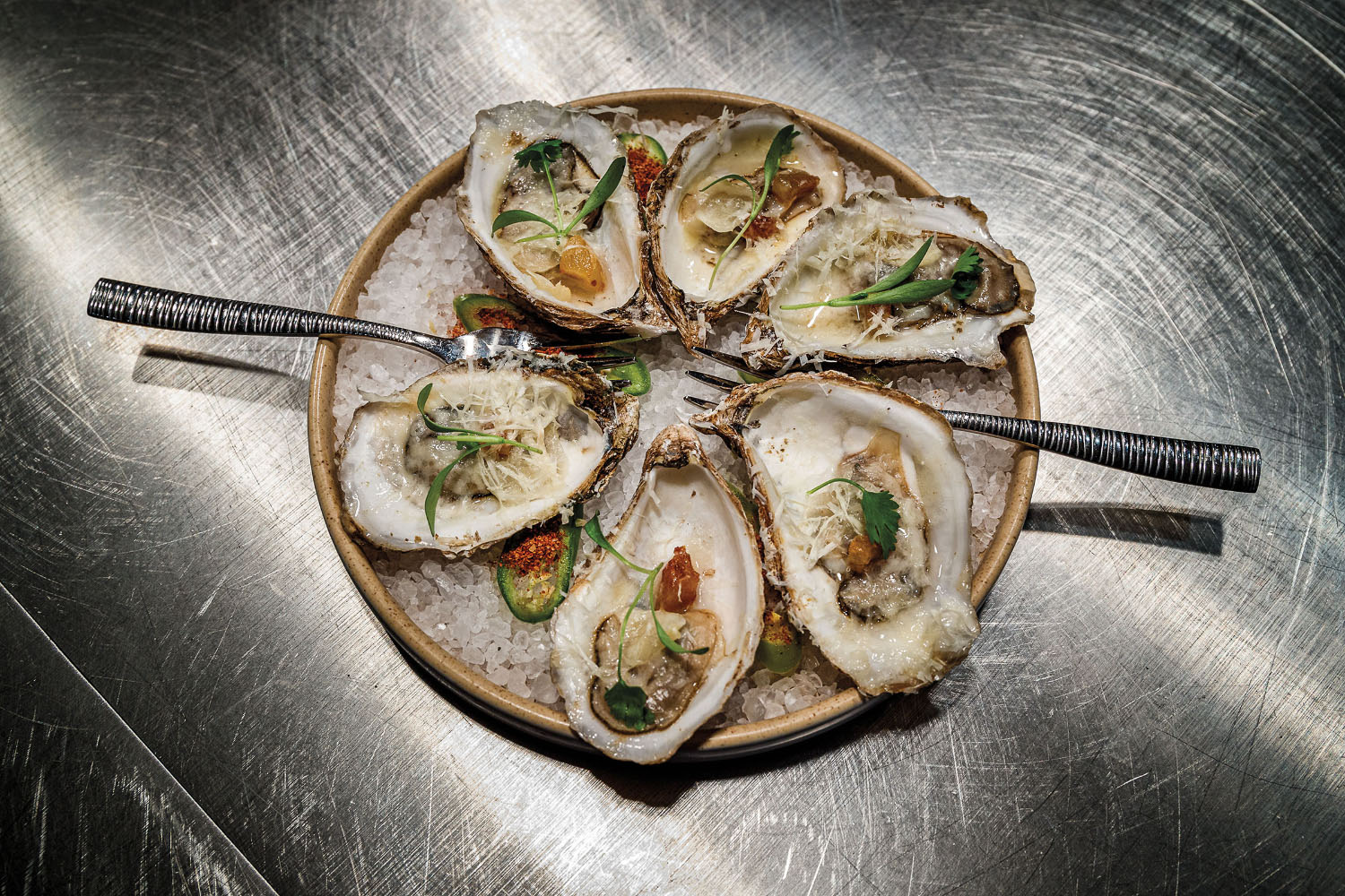 A plate of oysters on top of a stainless steel countertop
