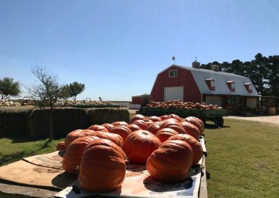 Meet the Texas Town that Became the Pumpkin Capital of the U.S.A.