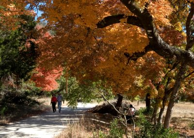 9 Things You Can Do To Make the Most of Fall in Texas