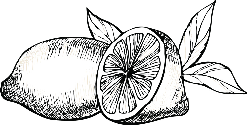 An illustration of a lemon