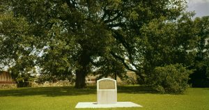A Naturalist Finds Serenity on a Mini-Tour of Texas’ Famous Oak Trees