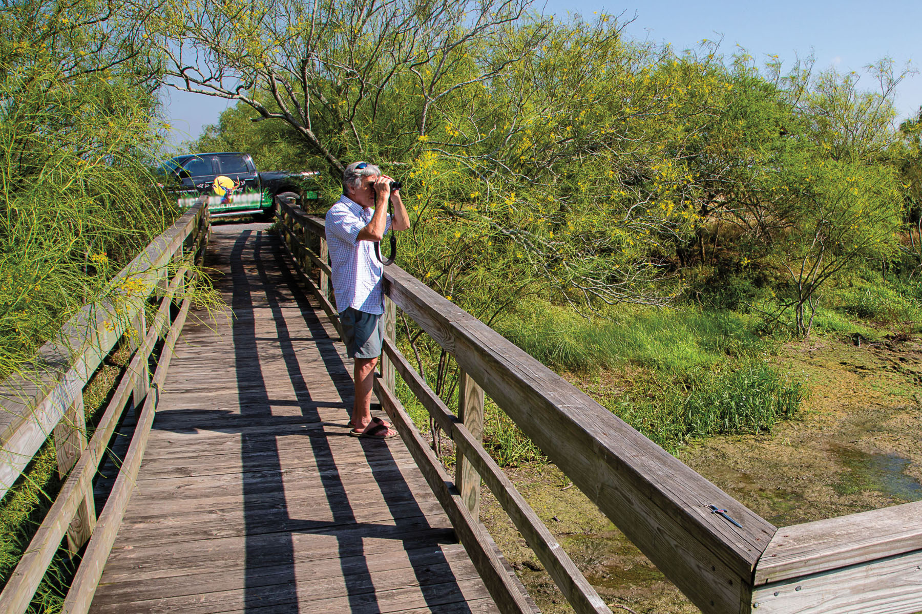 A man uses binoculars off of a boardwalk to look at birds