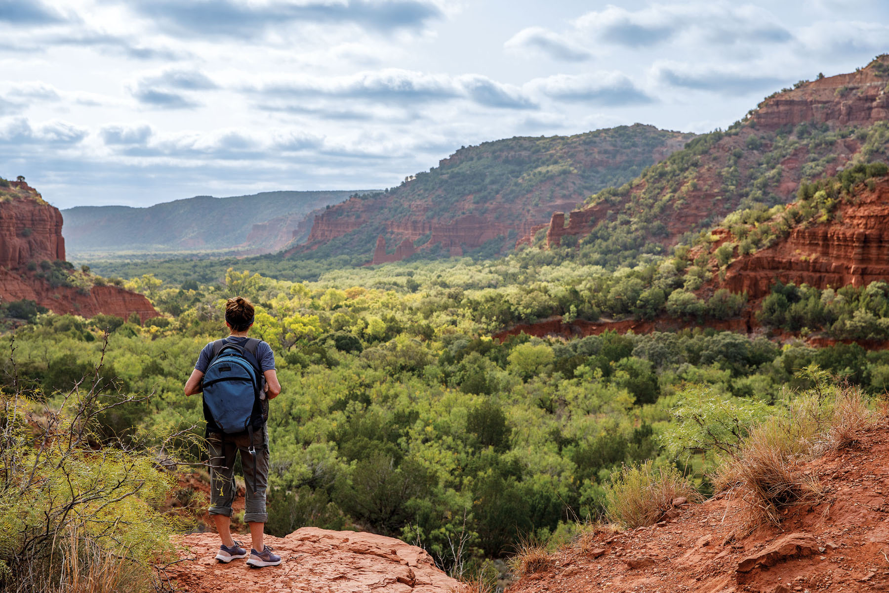 A person wearing a backpack looks into the grennery of Caprock Canyons