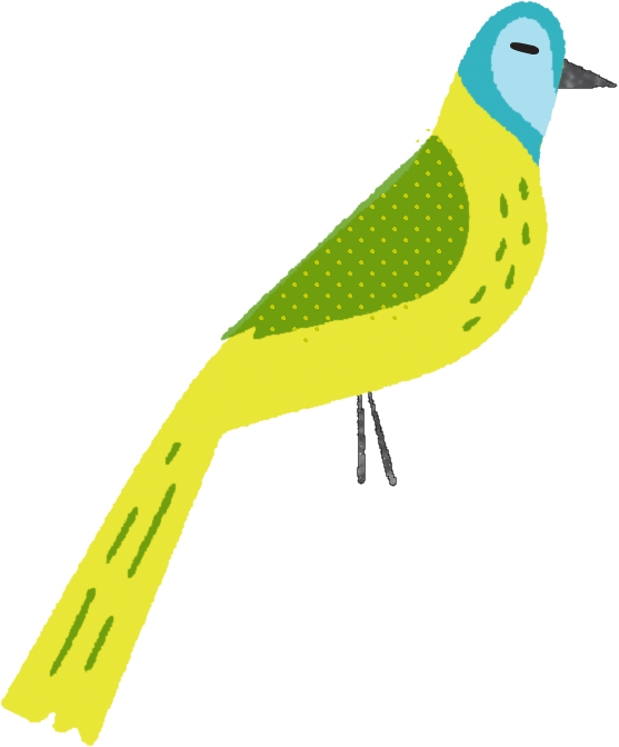 An illustration of a green jay