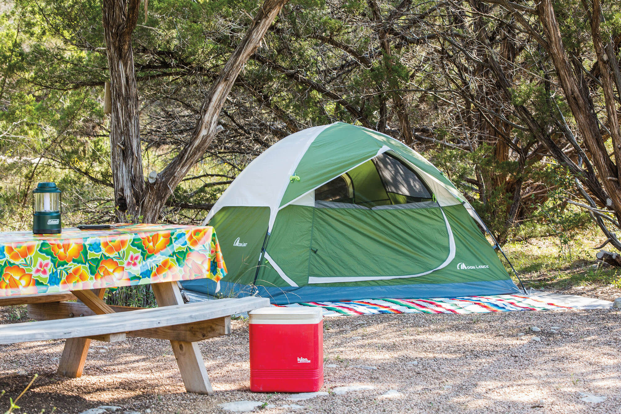 A green tent next to a picnic table