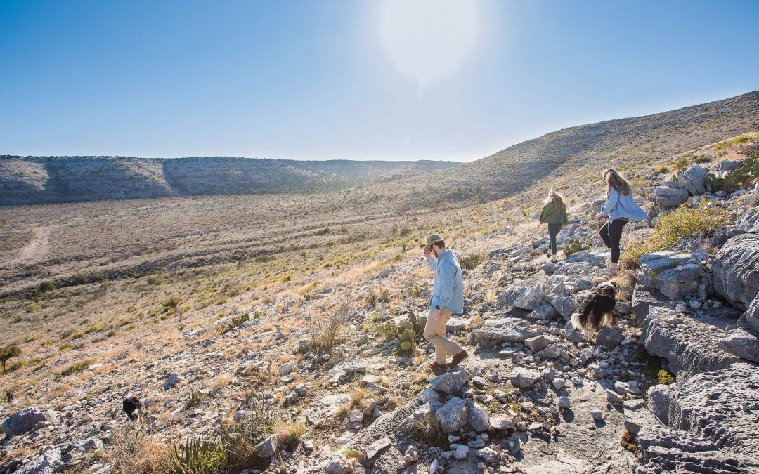 Two Ways to Expand Your Horizons on Texas’ Private Lands