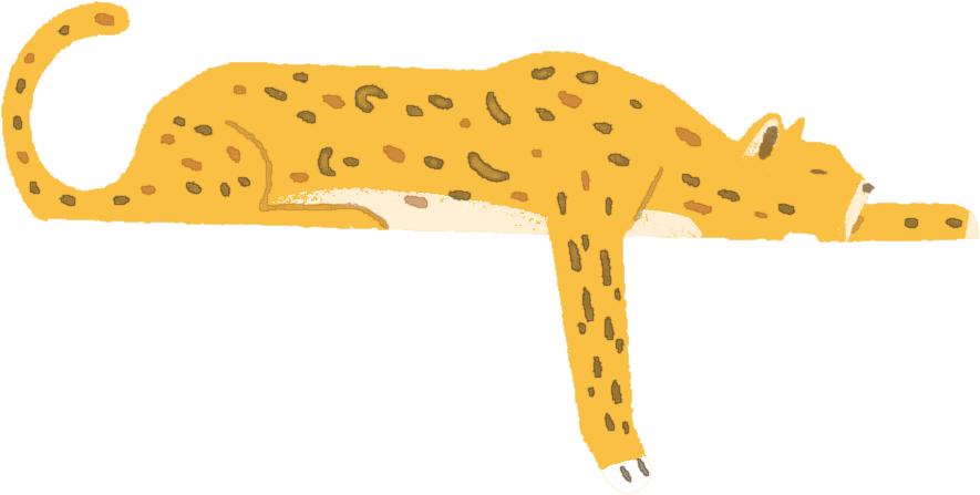 An illustration of an ocelot