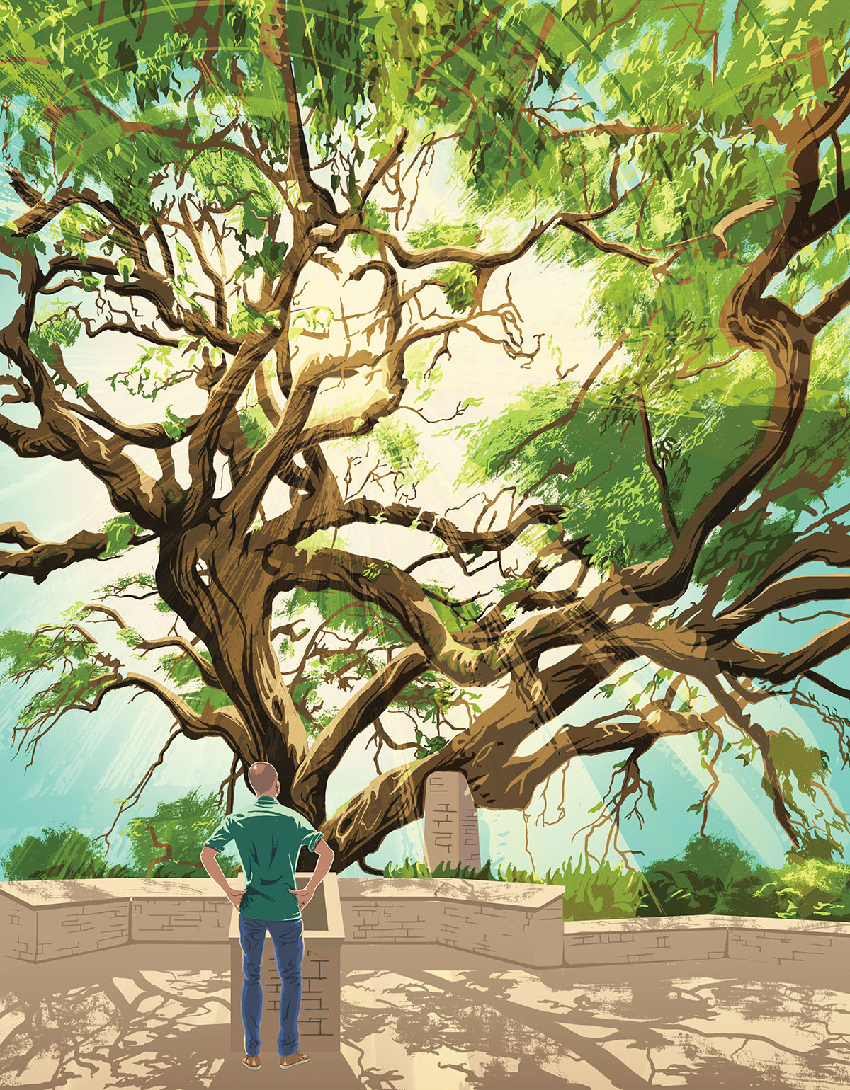 An illustration of a man standing in front of a rock wall looking up at a large oak tree