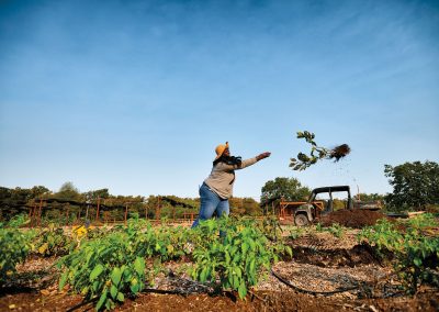 South Dallas’ Bonton Farms Helps Close the Gap in a Food Desert