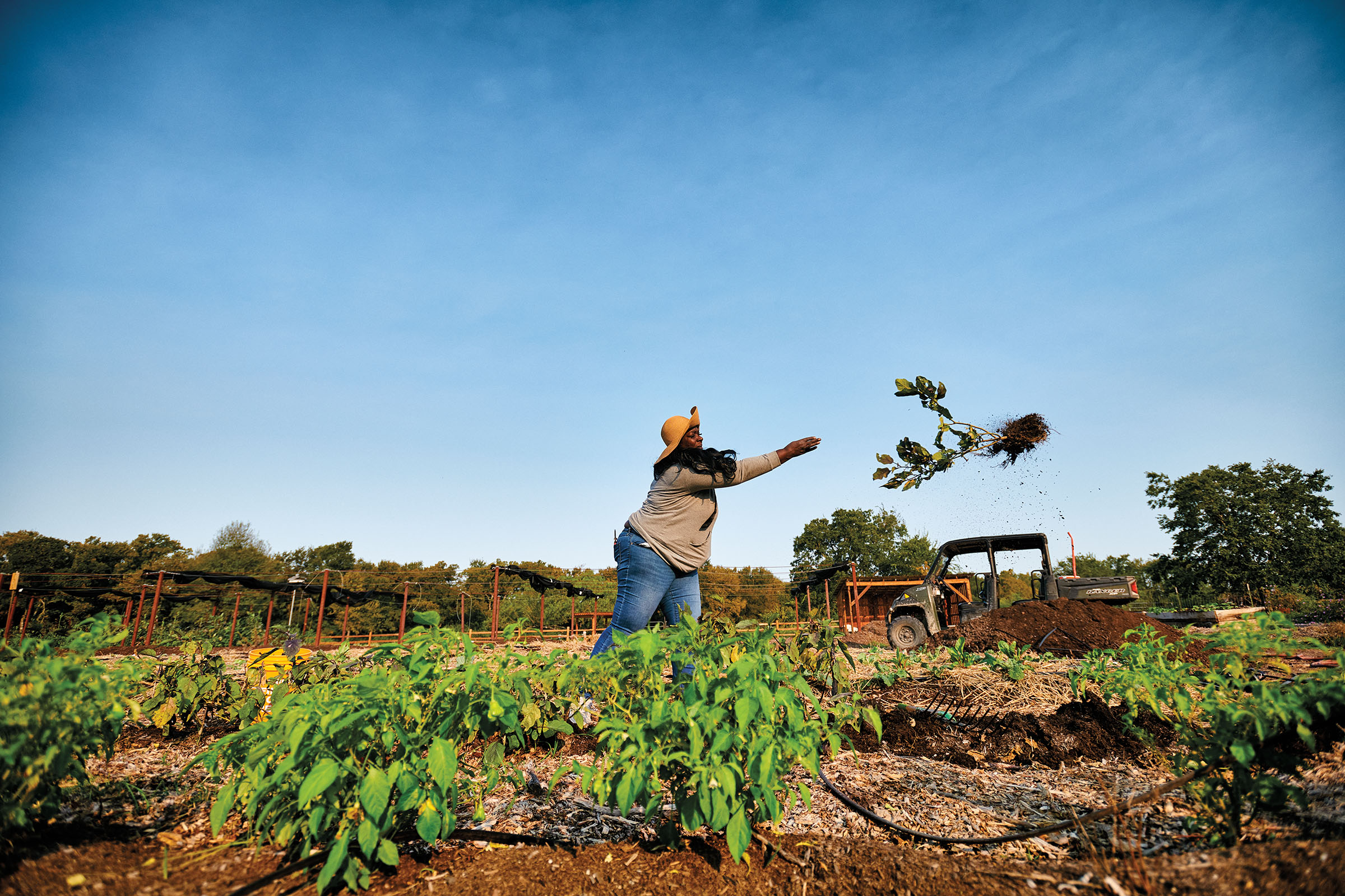 A woman in a field throws a plant through the air