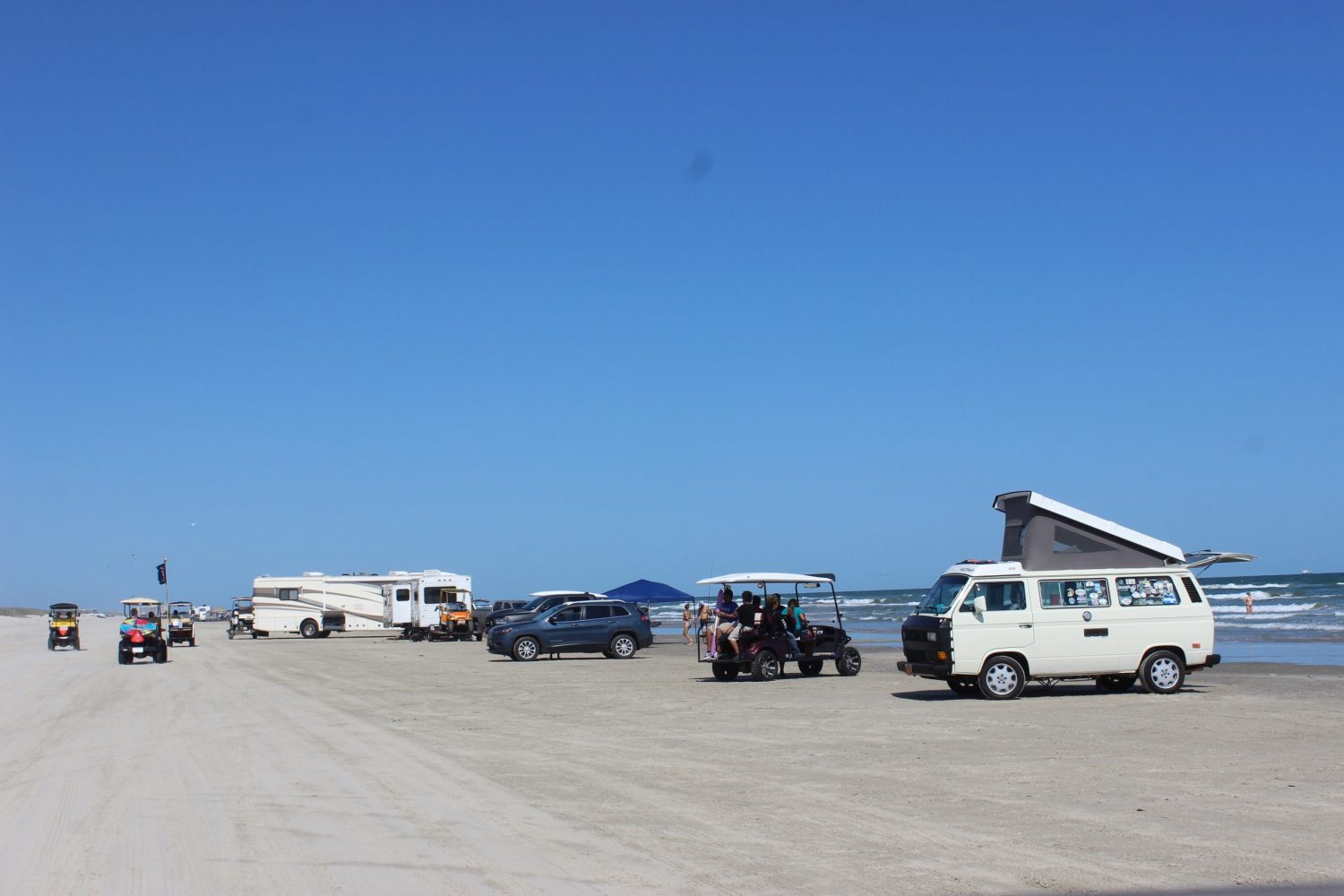 are dogs allowed on port aransas beach