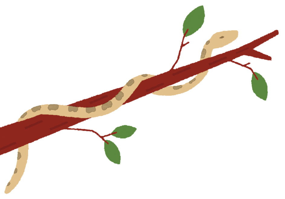 An illustration of a snake slithering on a tree branch