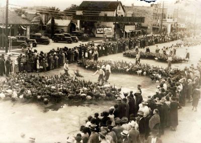 Traditions, Folklore, and Other Tales About Thanksgiving in Texas