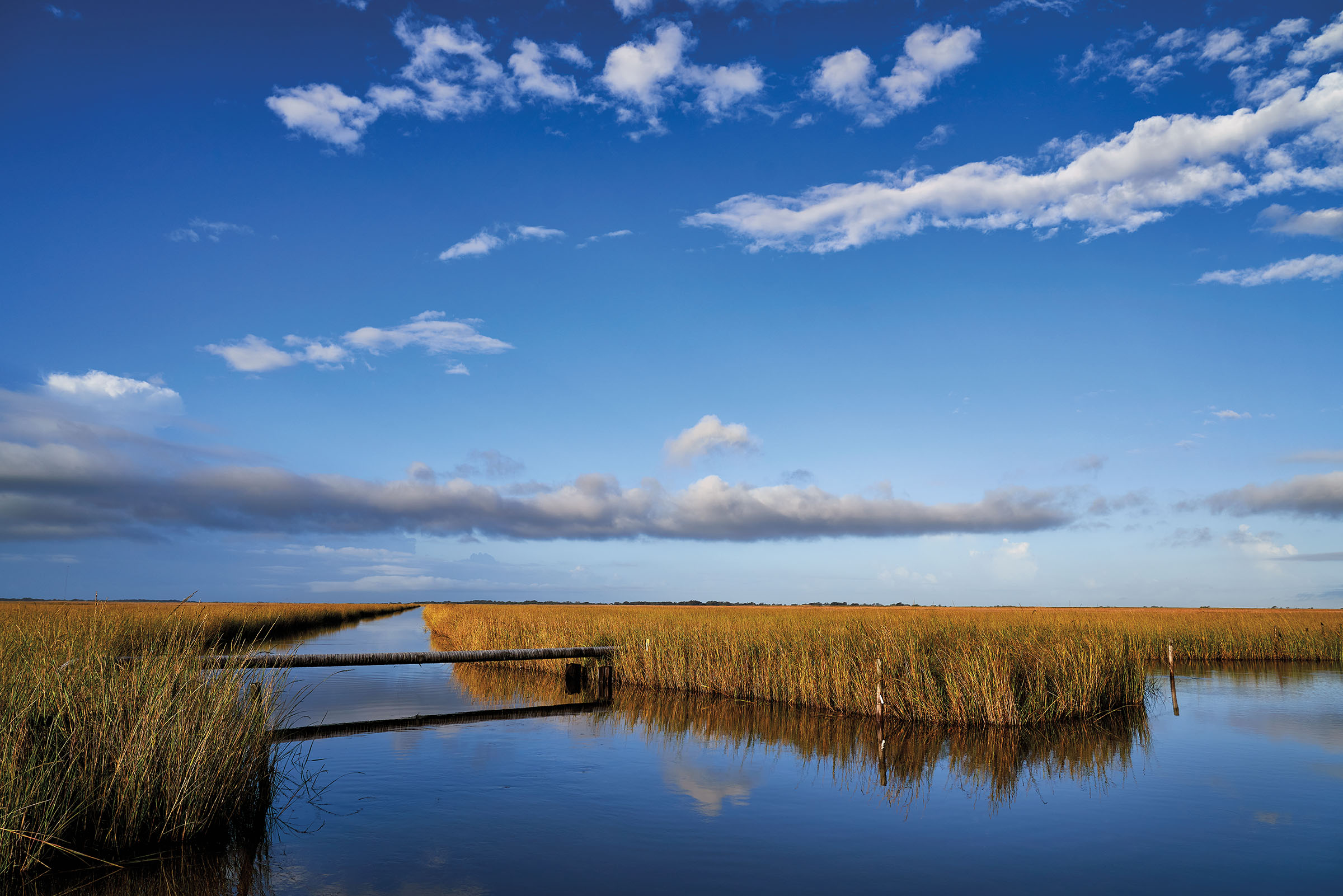 A blue sky over blue water and tall grass in a marsh