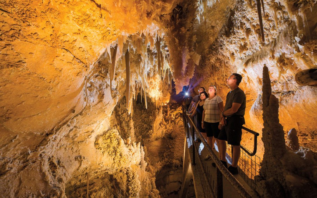 Things to Do Each Season in Texas