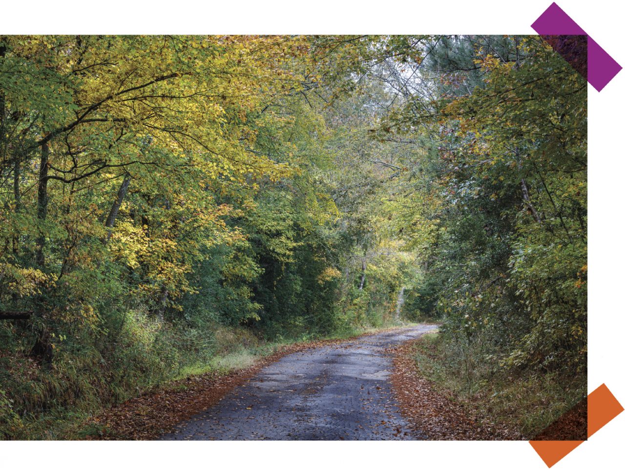 Reflections on How Texas Travel Can Change Our Minds