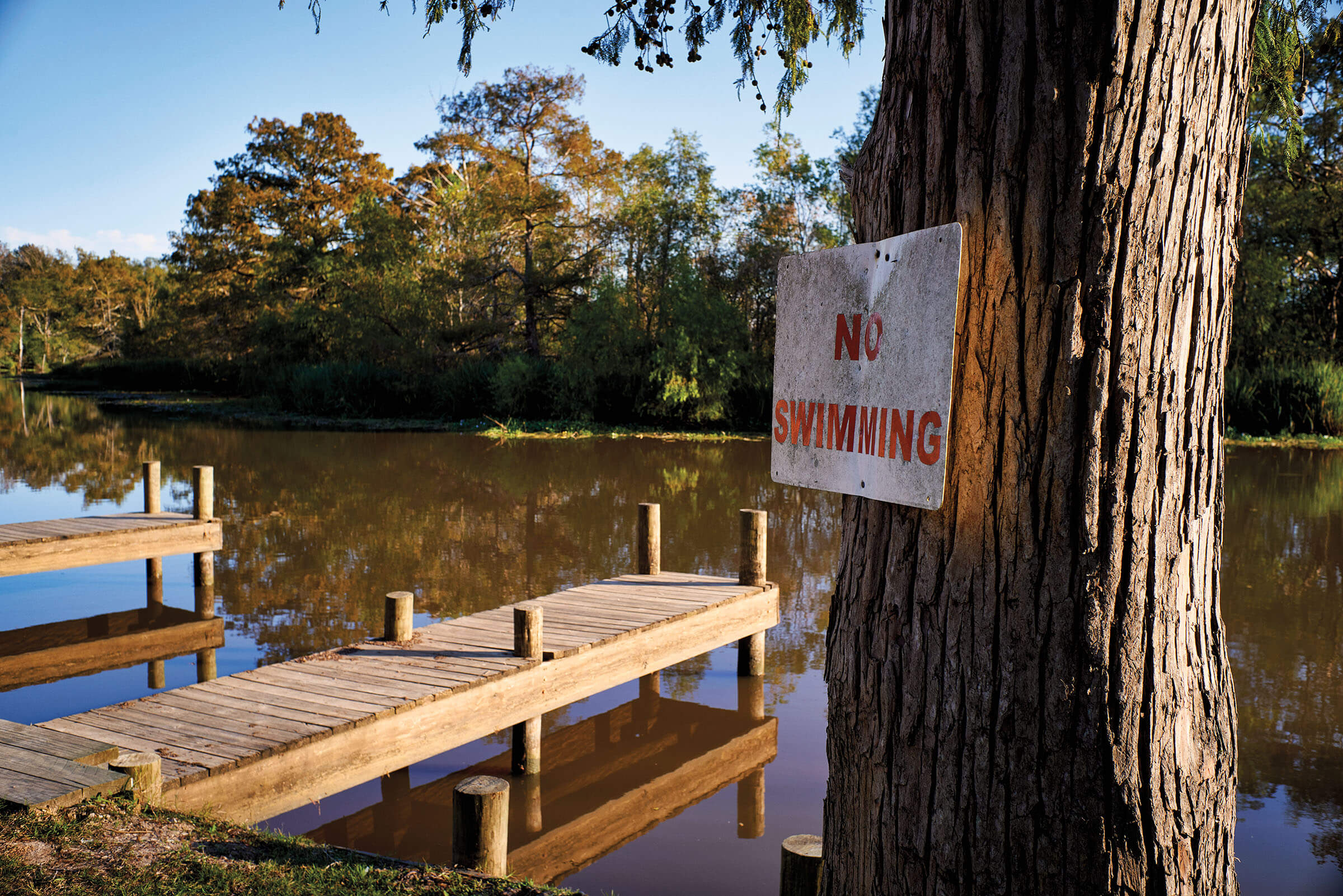 A sign reads "No Swimming" next to a dock along brown water and tall trees