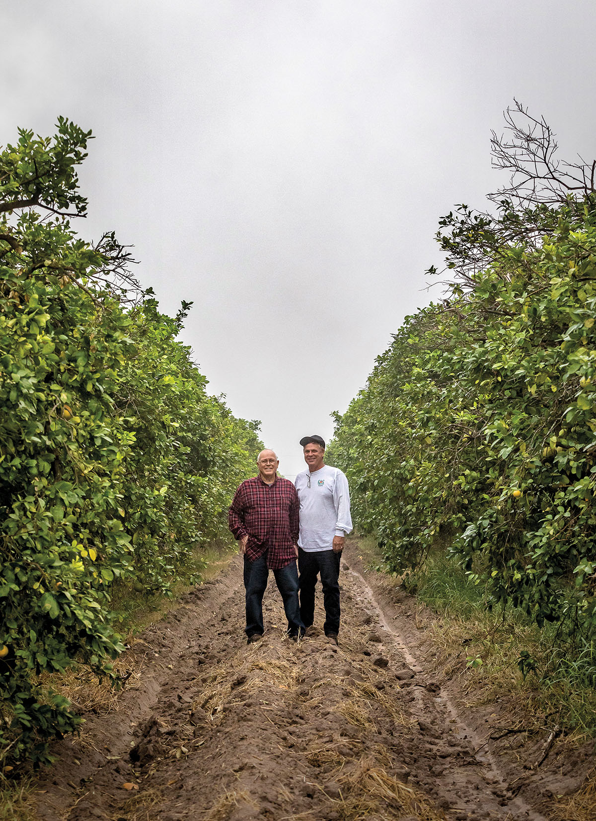 Two men stand in a citrus grove