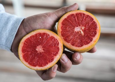 McAllen’s G and S Groves are the Giants of Texas Grapefruit