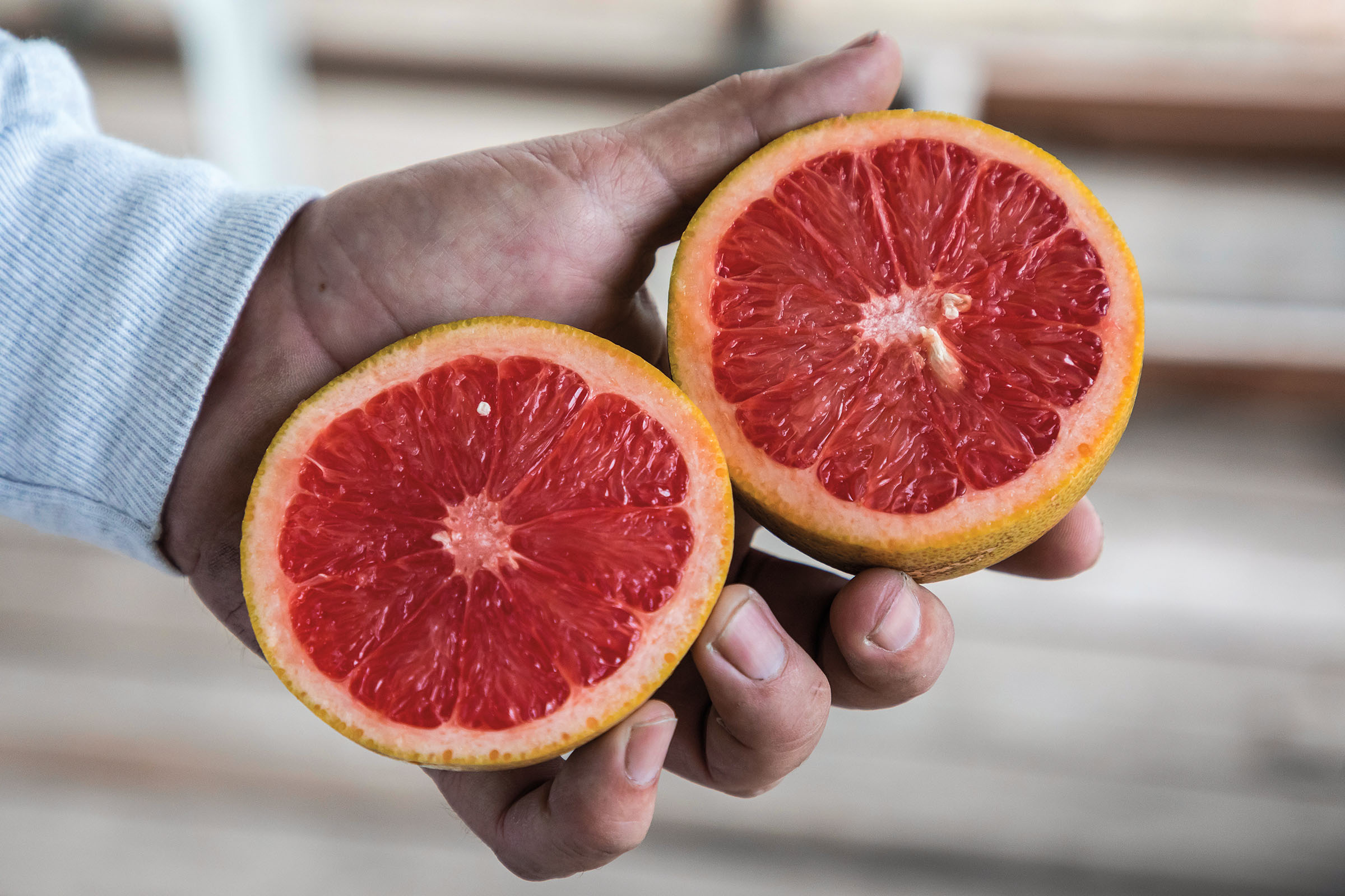 A man holds a grapefruit cut in half to reveal the bright red interior