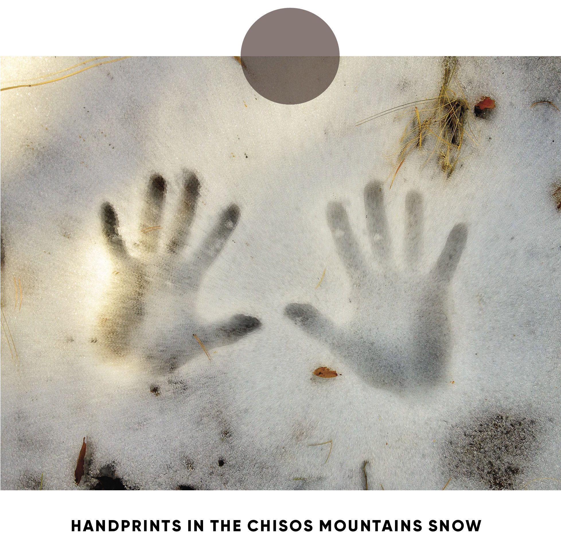 Handprints in the snow in the Chisos Mountains