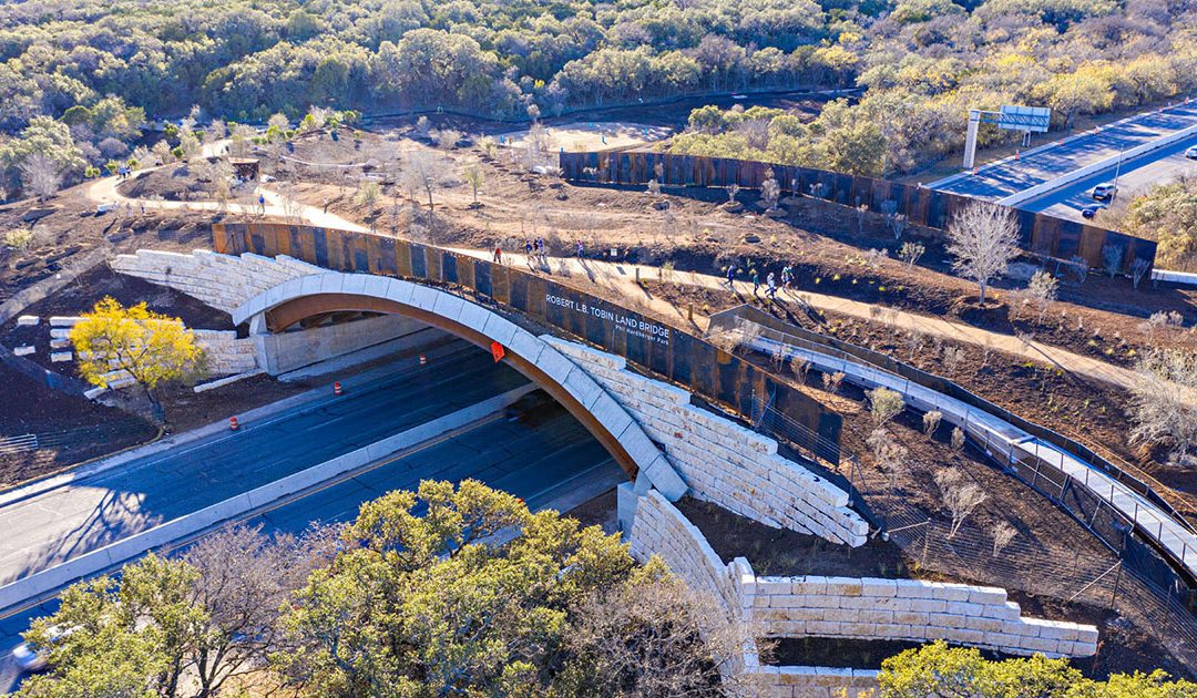 With a New Land Bridge, San Antonio Provides a Safe Passage for People and Wildlife