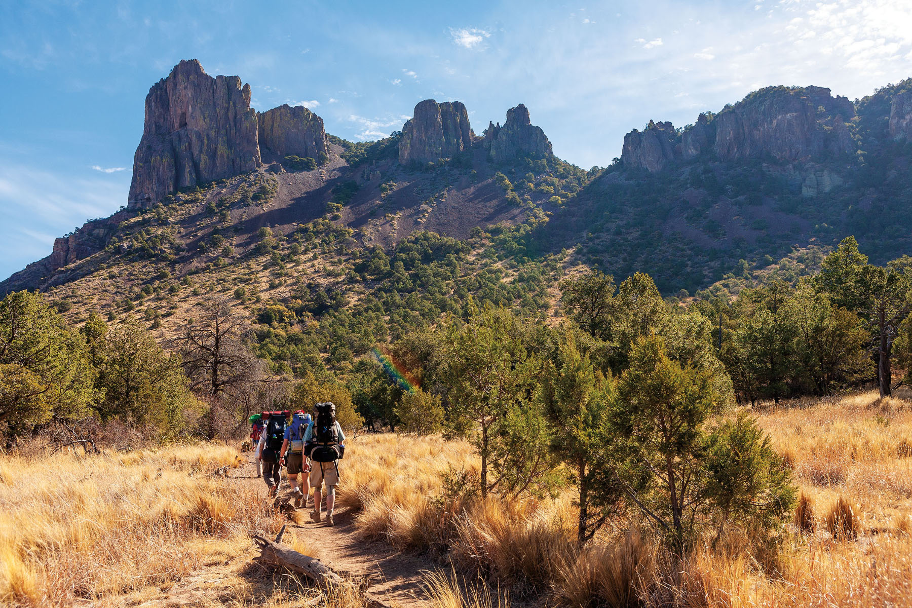 A group of people walk through brown grasses and short green trees beneath tall mountains in Big Bend