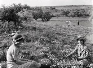 Reveling in the Beauty of a Field of Wildflowers near Breckenridge in 1935