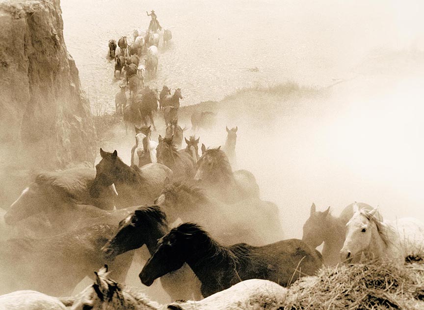 Dust flies up around dozens of horses as they're herded by a cowboy. 'Stolen Horses' by Bill Wittliff, shot in 1988. Photo courtesy of The Wittliff Collections, Texas State University.