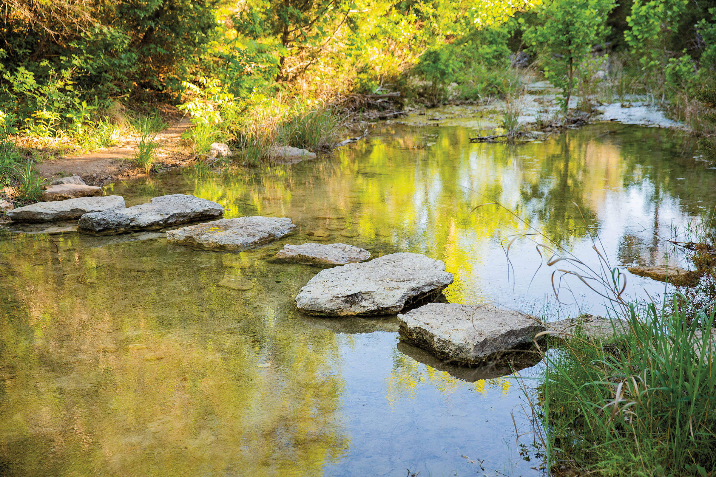 Large stones across clear water with green and yellow trees