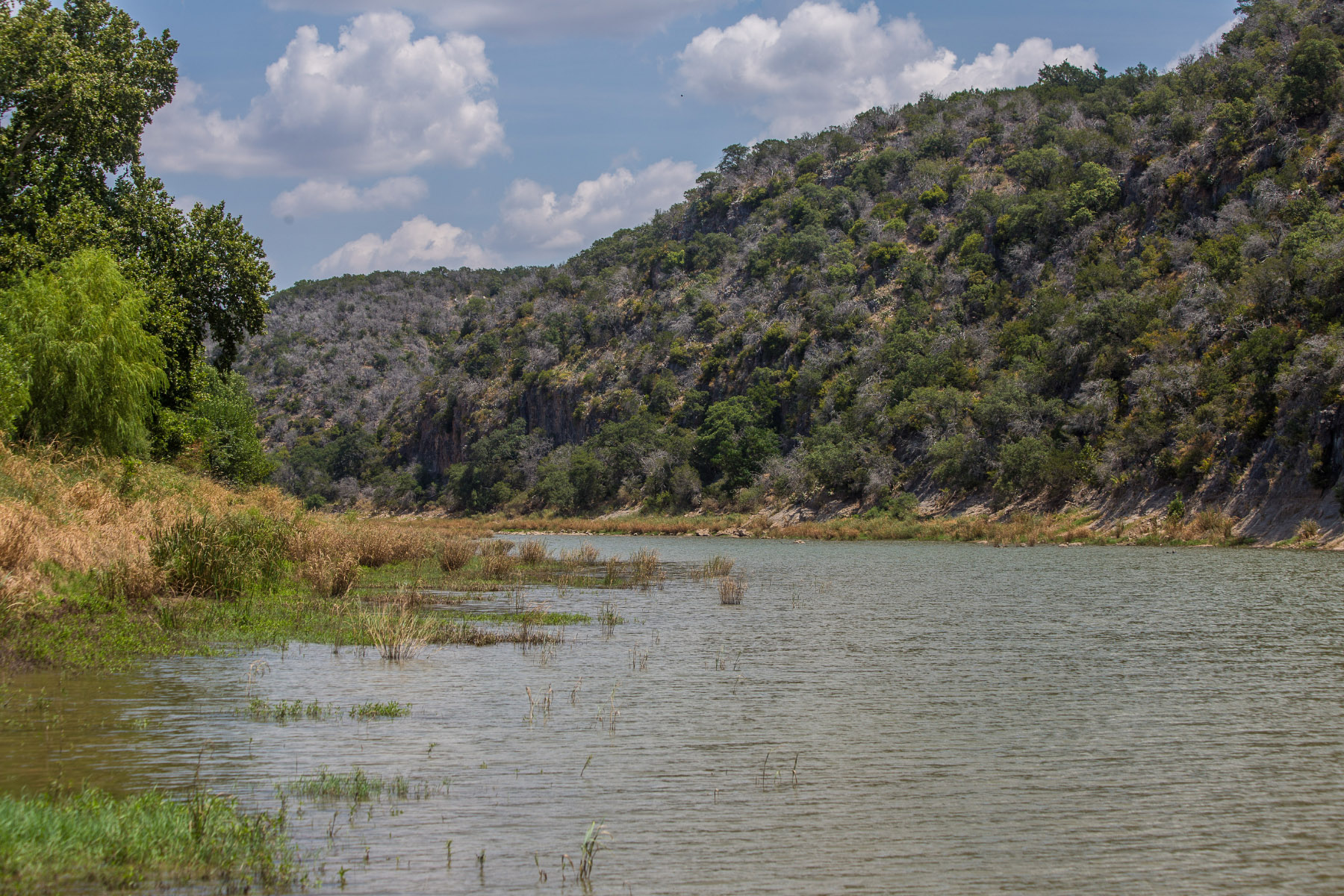 Colorado Bend State Park. Photo by Will van Overbeek.