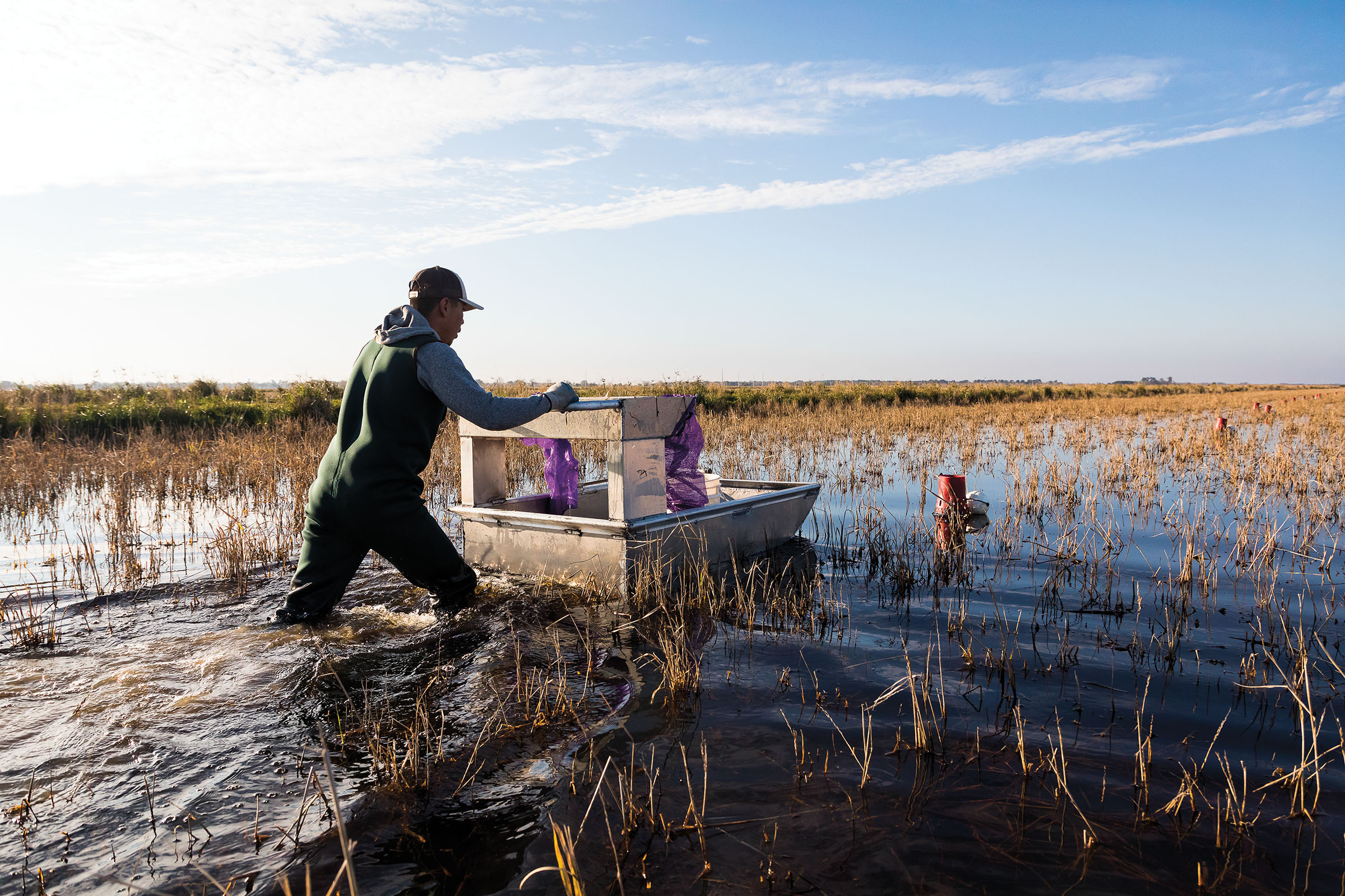 A man in a wetsuit pushes a small boat through a marsh filled with water and reeds