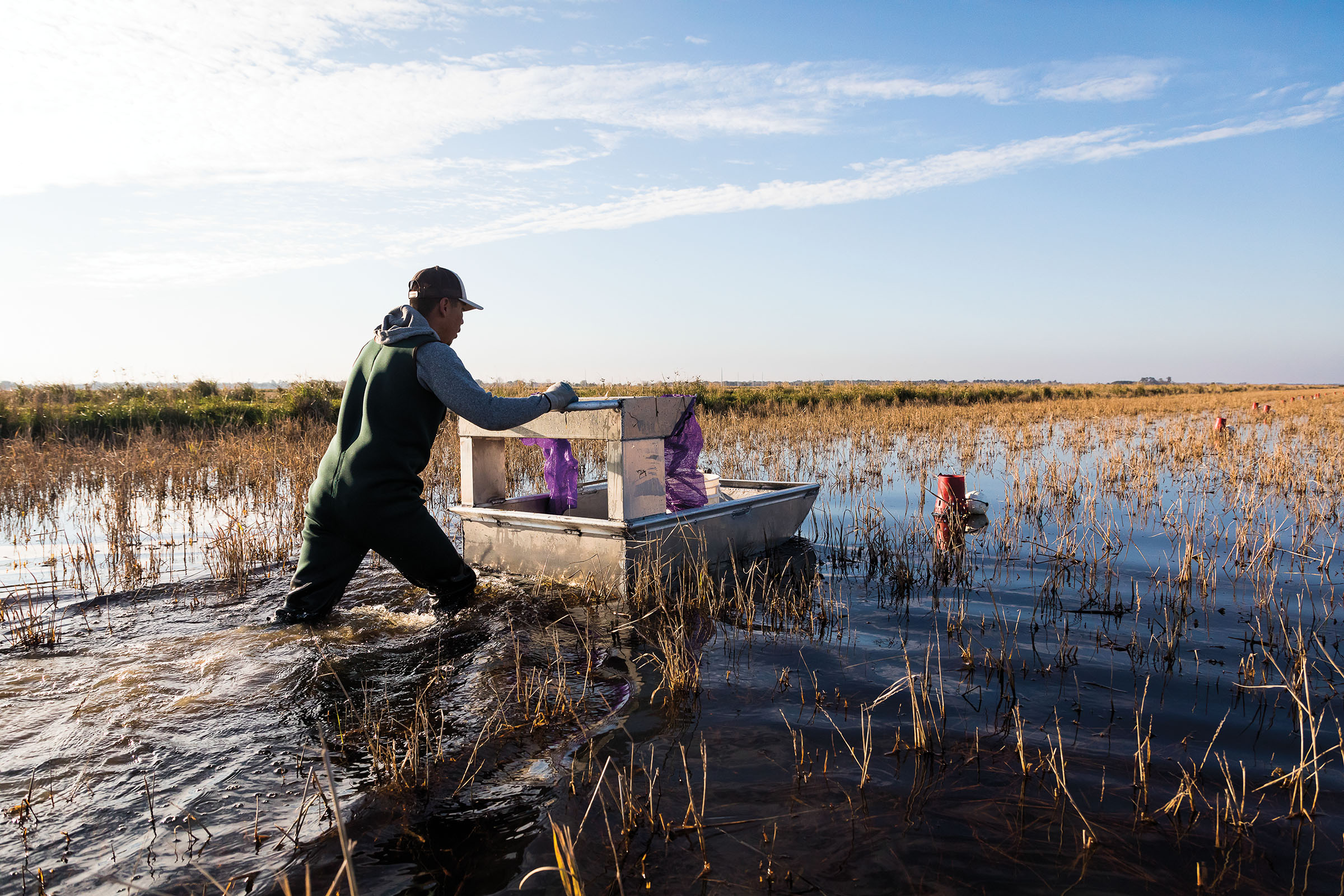 How Farmers Are Responding to the Skyrocketing Demand for Crawfish