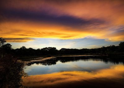 A Golden Sunset in South Austin