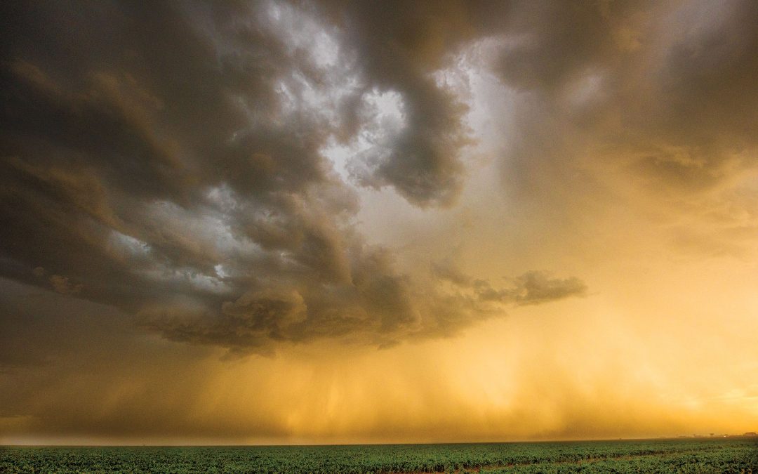 See the Beauty of Texas in a Kaleidoscope of Colors