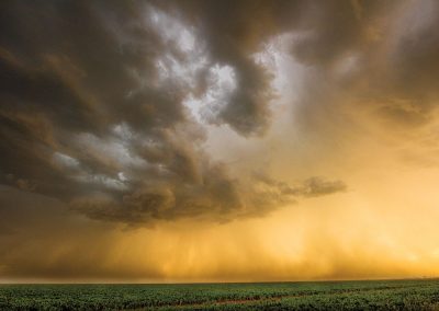 See the Beauty of Texas in a Kaleidoscope of Colors
